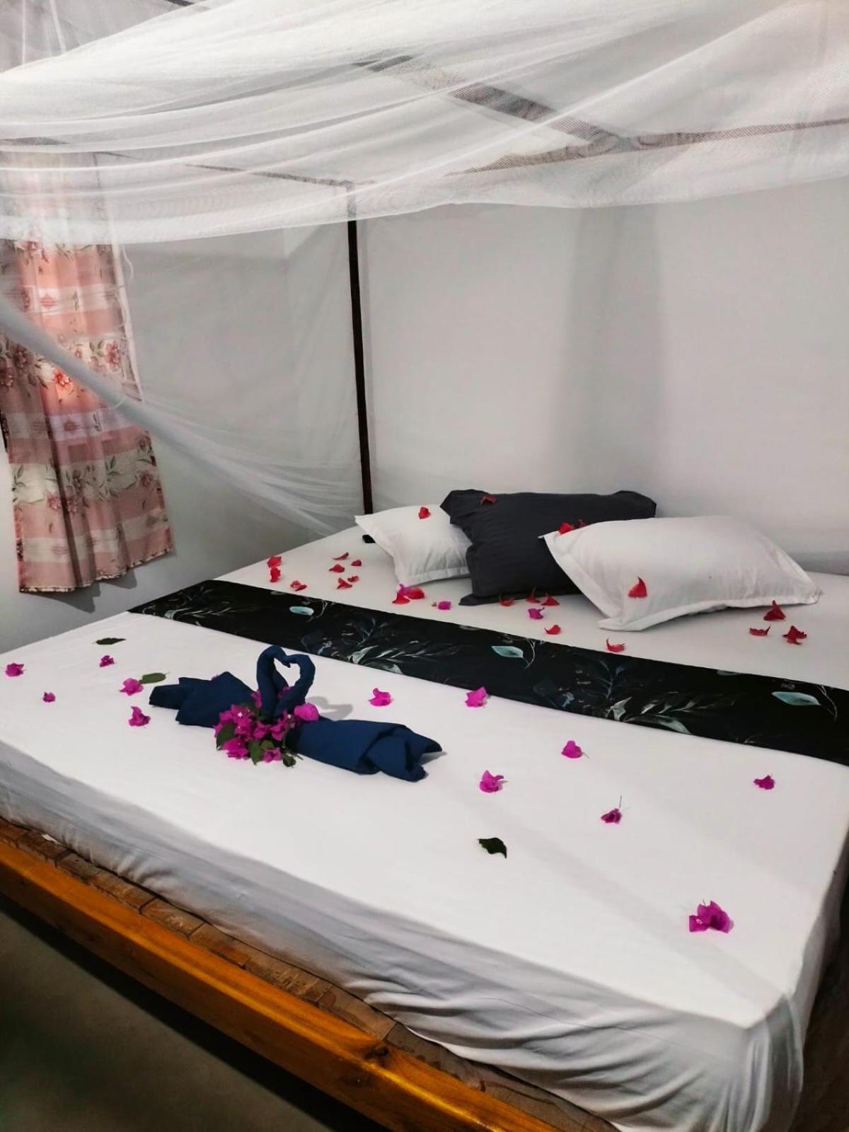 Costels Arugambay Hostel อารูกัมเบย์ ห้อง รูปภาพ