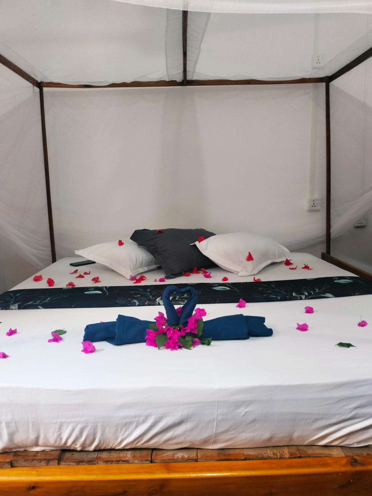 Costels Arugambay Hostel อารูกัมเบย์ ห้อง รูปภาพ