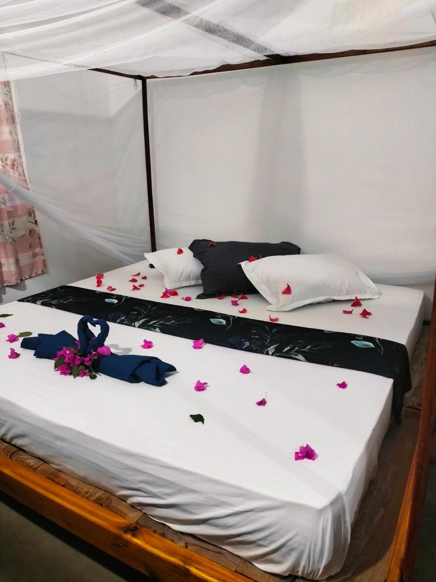 Costels Arugambay Hostel อารูกัมเบย์ ภายนอก รูปภาพ